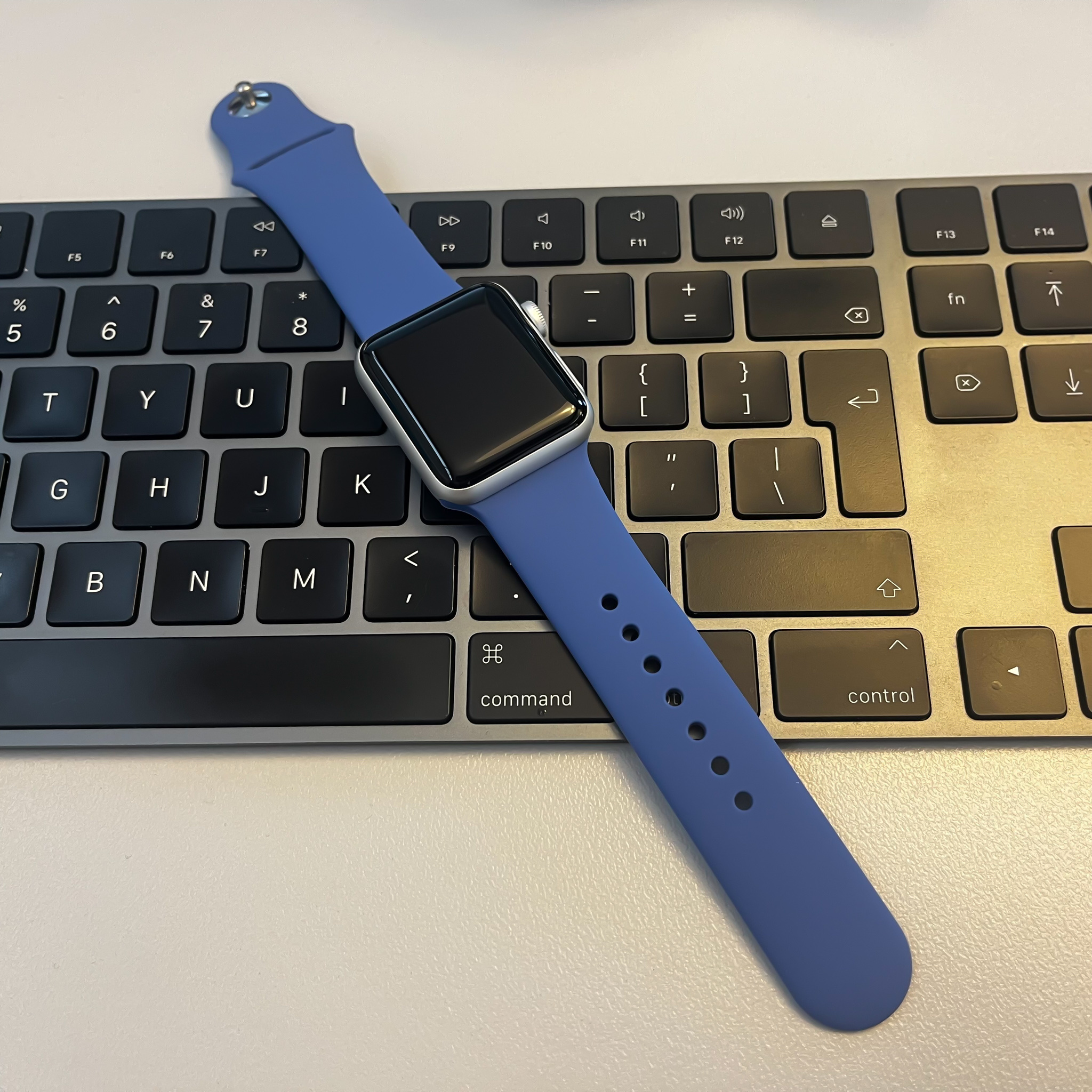 Apple Watch Sport Strap - Tomales Blue