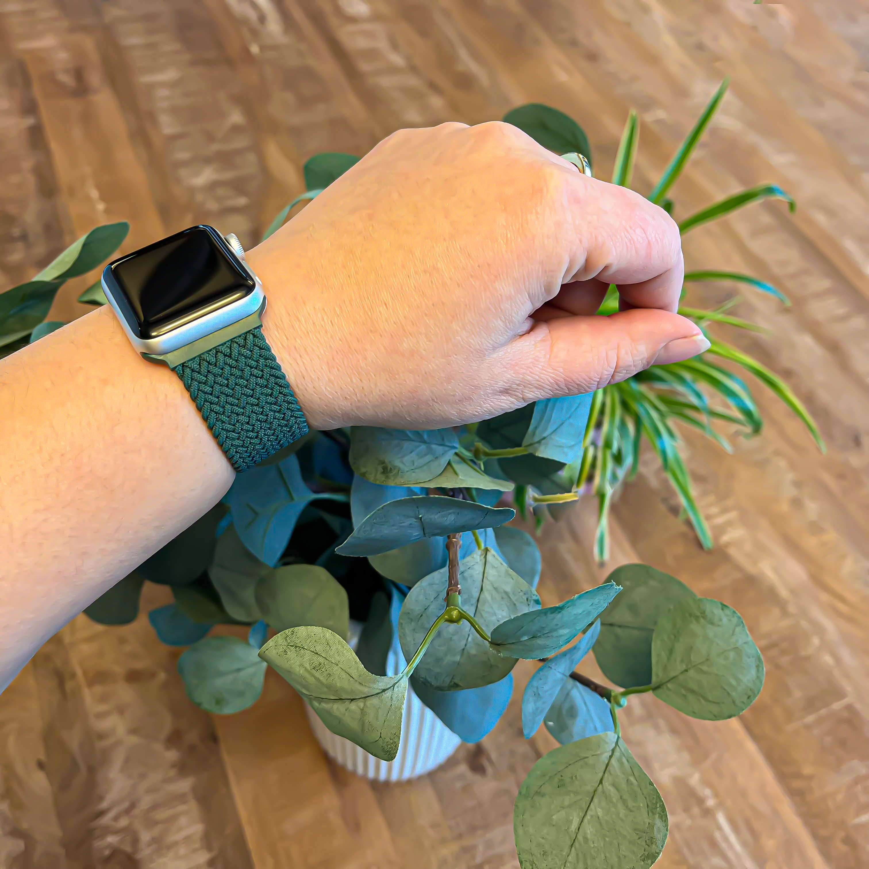 Apple Watch Nylon Braided Solo Loop Strap - Rainforest