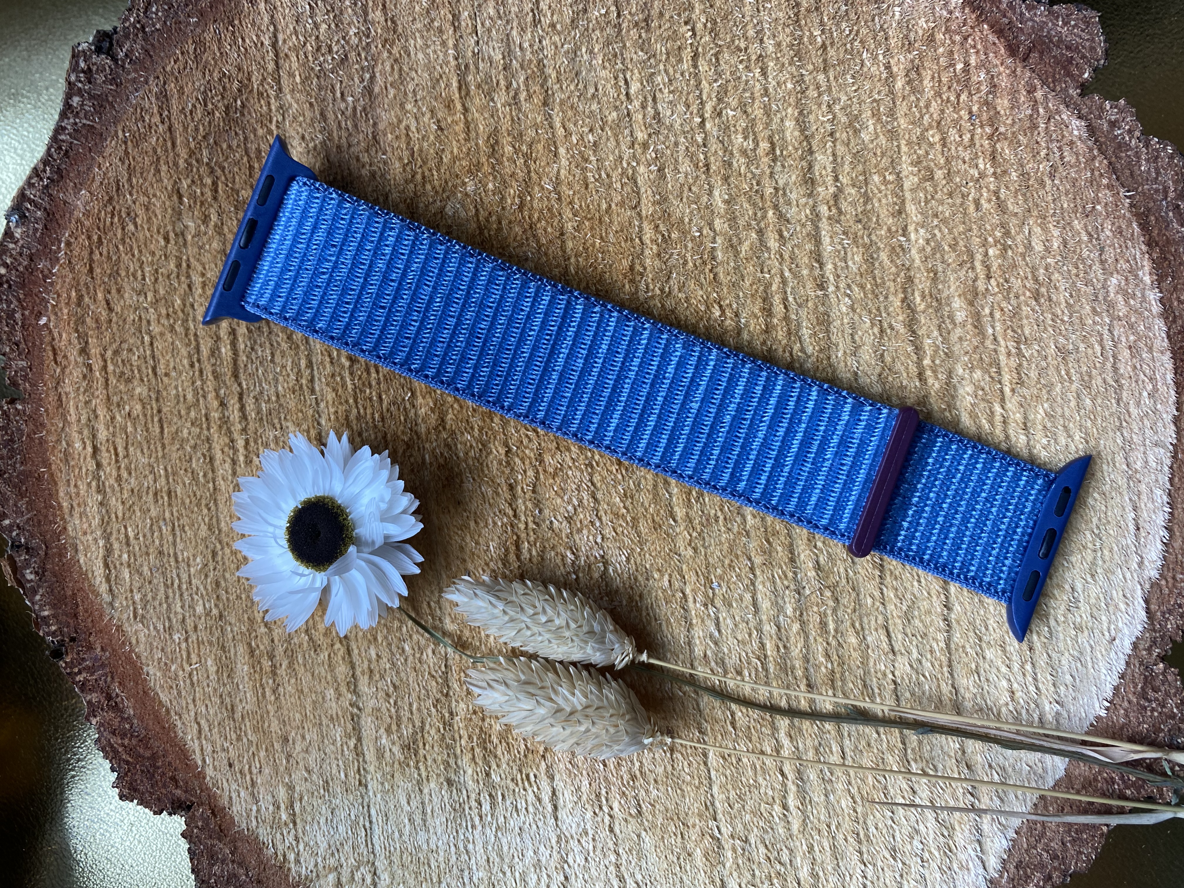 Apple Watch Nylon Sport Loop Strap - Winter Blue